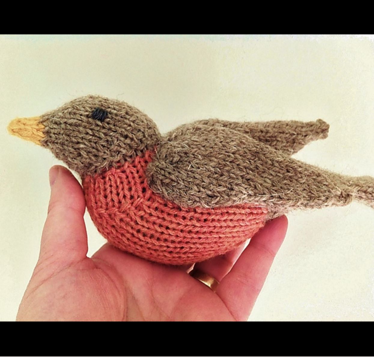 Free Knitting Pattern | Spring Robin