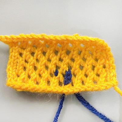 Duplicate stitch (also known as Swiss darning)